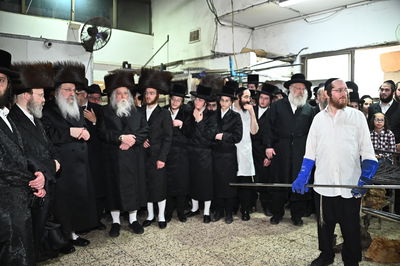 האדמו"ר מנדבורנה באפיית מצות מצווה