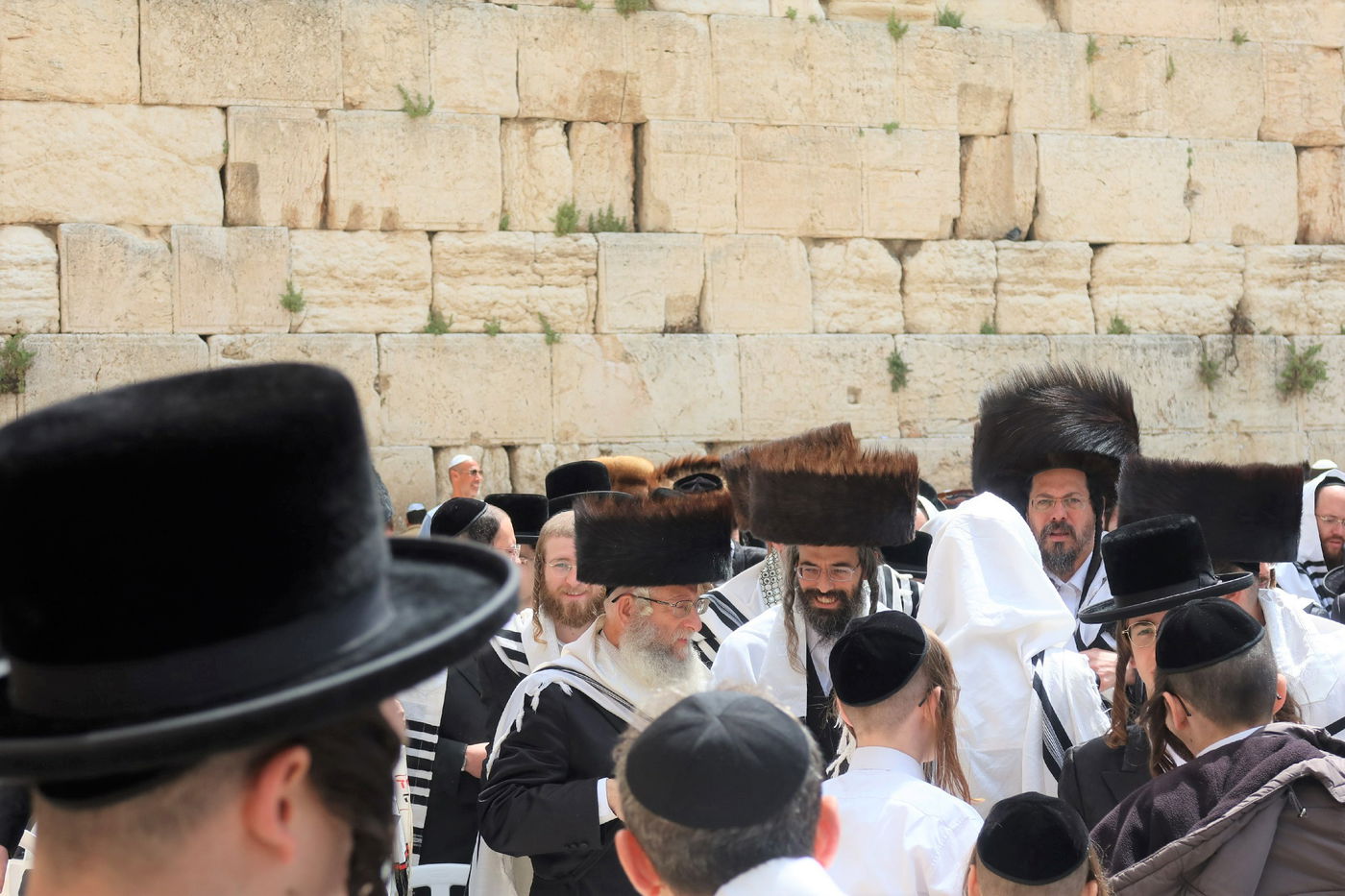 האדמו"ר מזוויעהיל בתפילה ע"י הכותל המערבי - חול המועד פסח