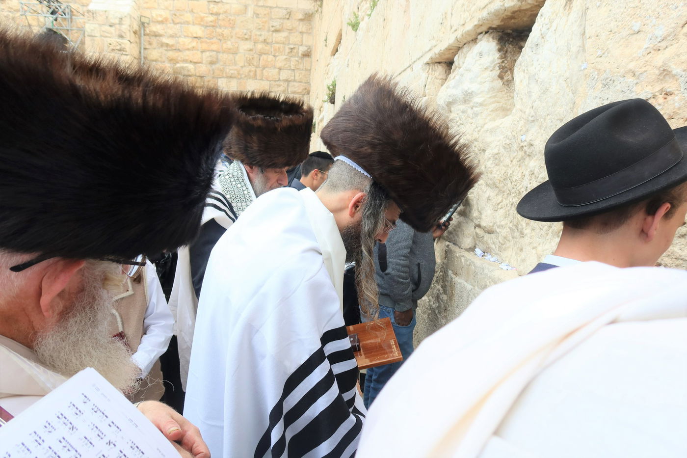 האדמו"ר מזוויעהיל בתפילה ע"י הכותל המערבי - חול המועד פסח