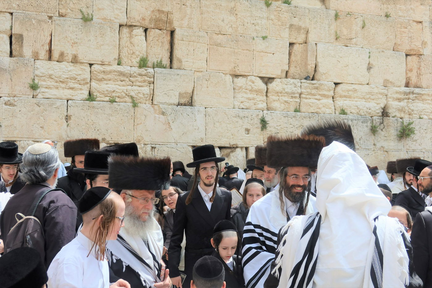 האדמו"ר מזוויעהיל בתפילה ע"י הכותל המערבי - חול המועד פסח