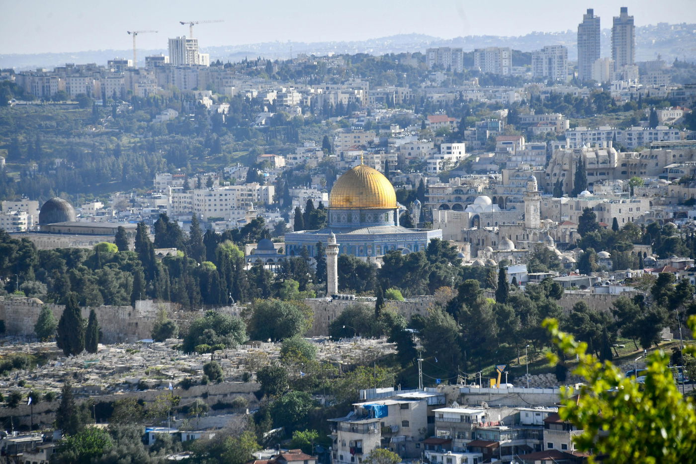 יהודים מתפללים ב'הר הצופים' מול מקום המקדש - חוה"מ פסח