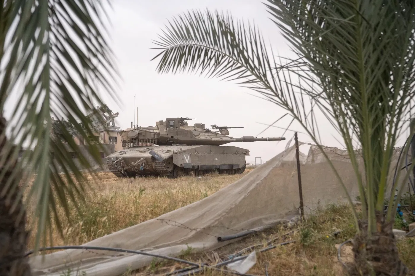 פעילות הלוחמים ברצועה