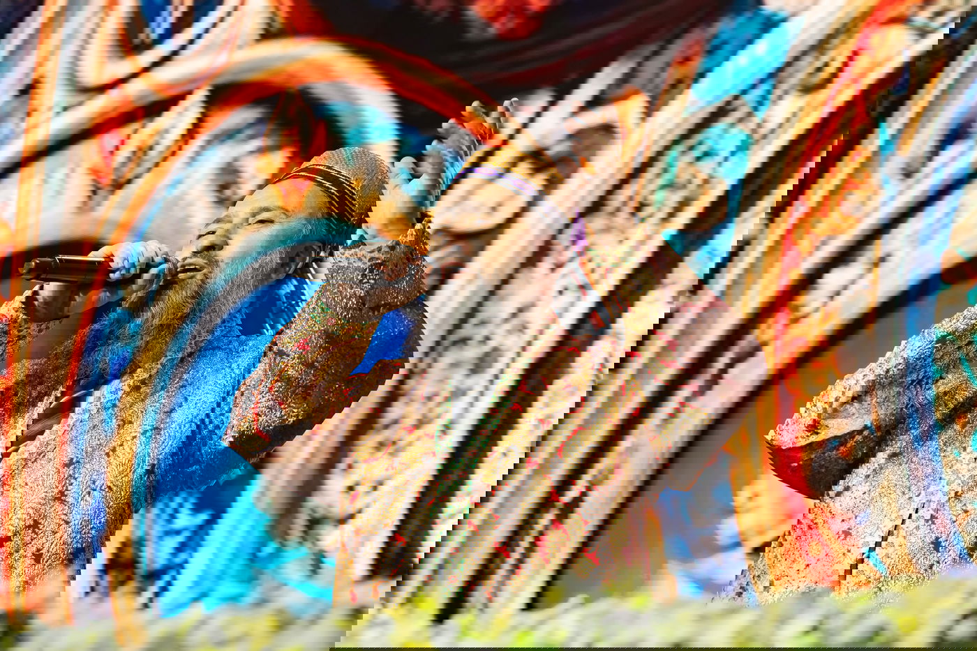 אלפי אברכים מהעדה הבוכרית התכנסו למעמד היסטורי | תיעוד ענק