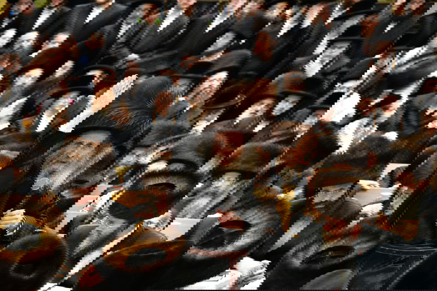 הרה"צ רבי אלימלך בידרמן בחול המועד פסח באשדוד