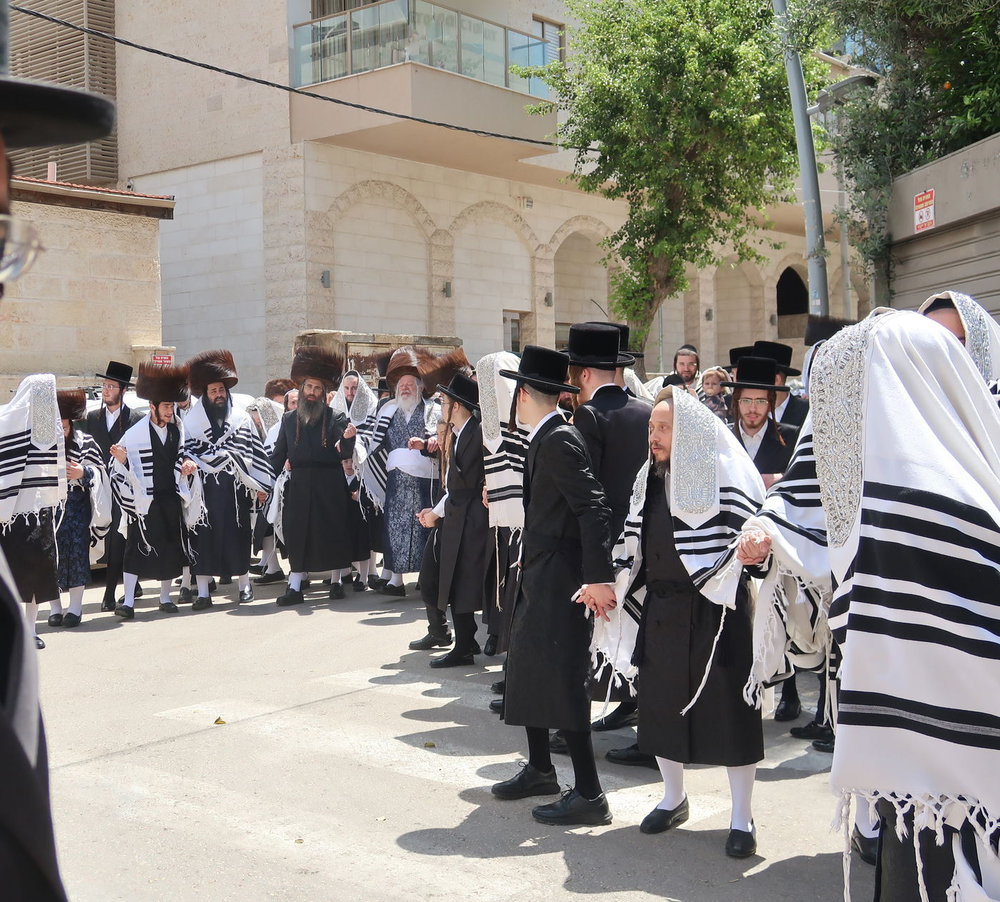 האדמו"ר מפרמישלאן בברכת האילנות