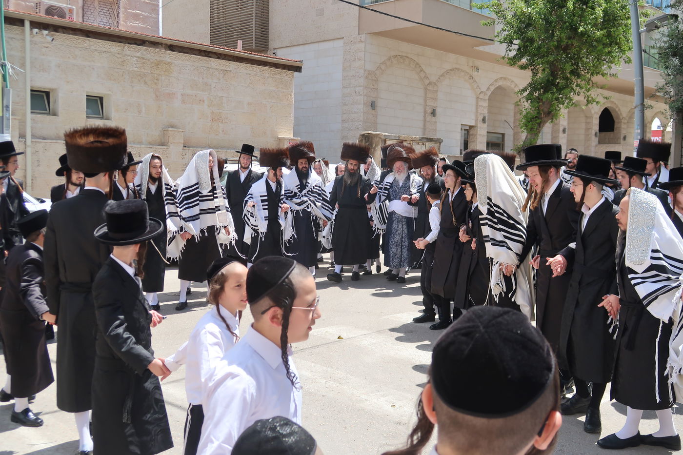 האדמו"ר מפרמישלאן בברכת האילנות