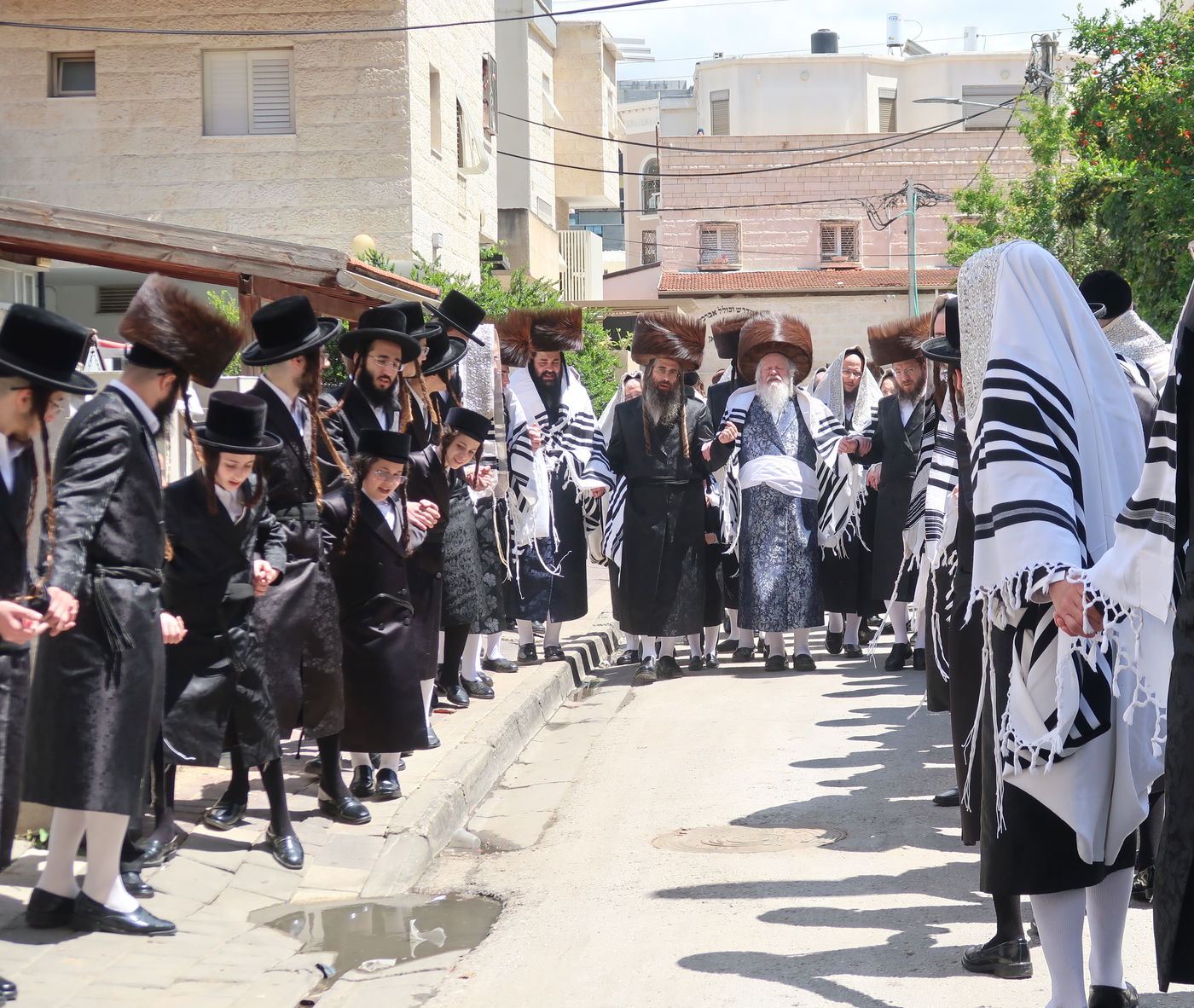 האדמו"ר מפרמישלאן בברכת האילנות