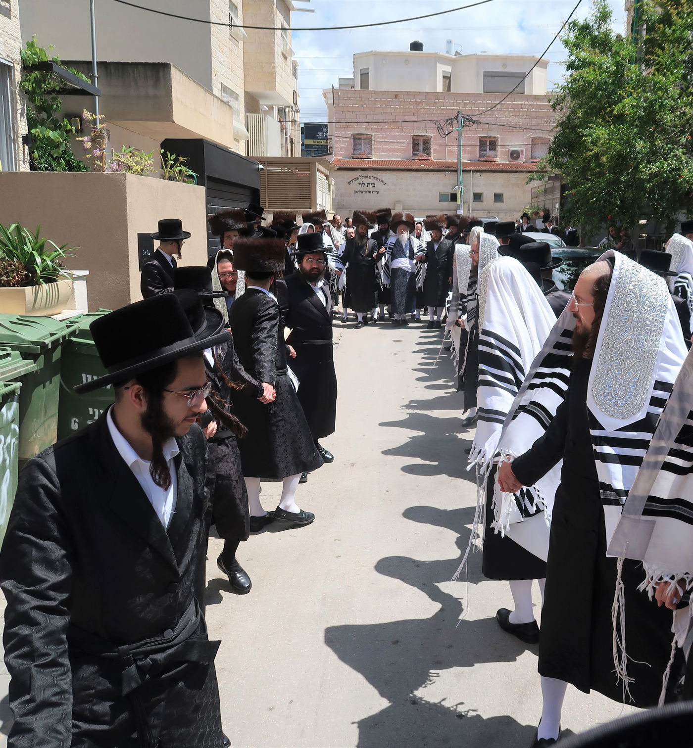 האדמו"ר מפרמישלאן בברכת האילנות