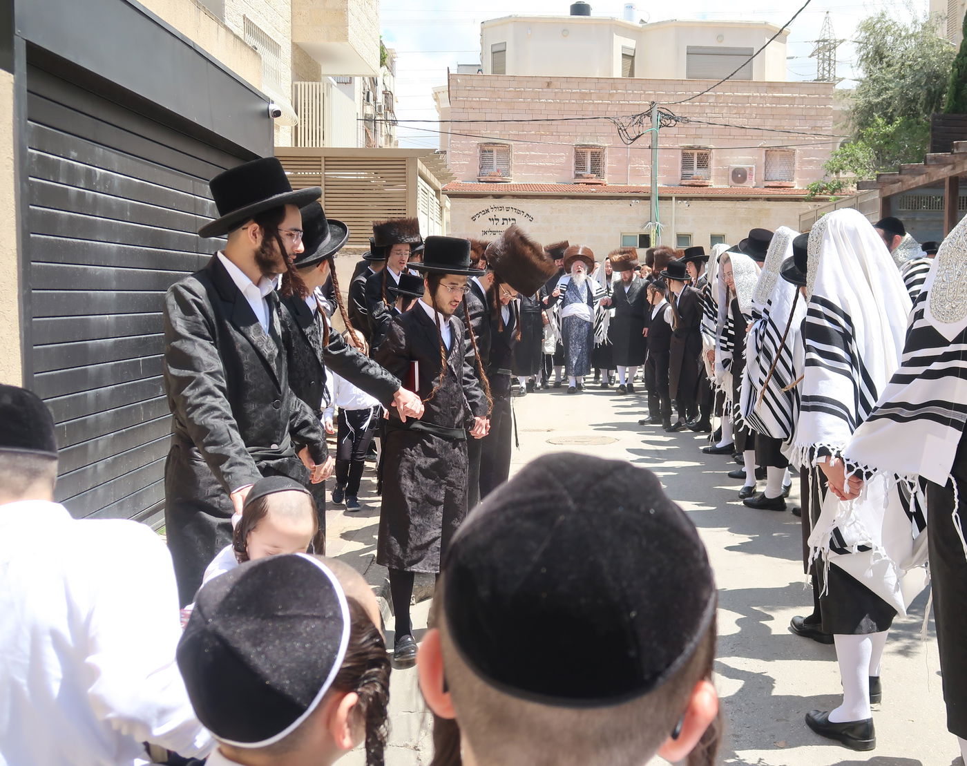 האדמו"ר מפרמישלאן בברכת האילנות