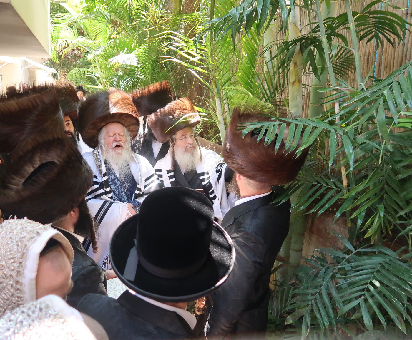 האדמו"ר מפרמישלאן בברכת האילנות