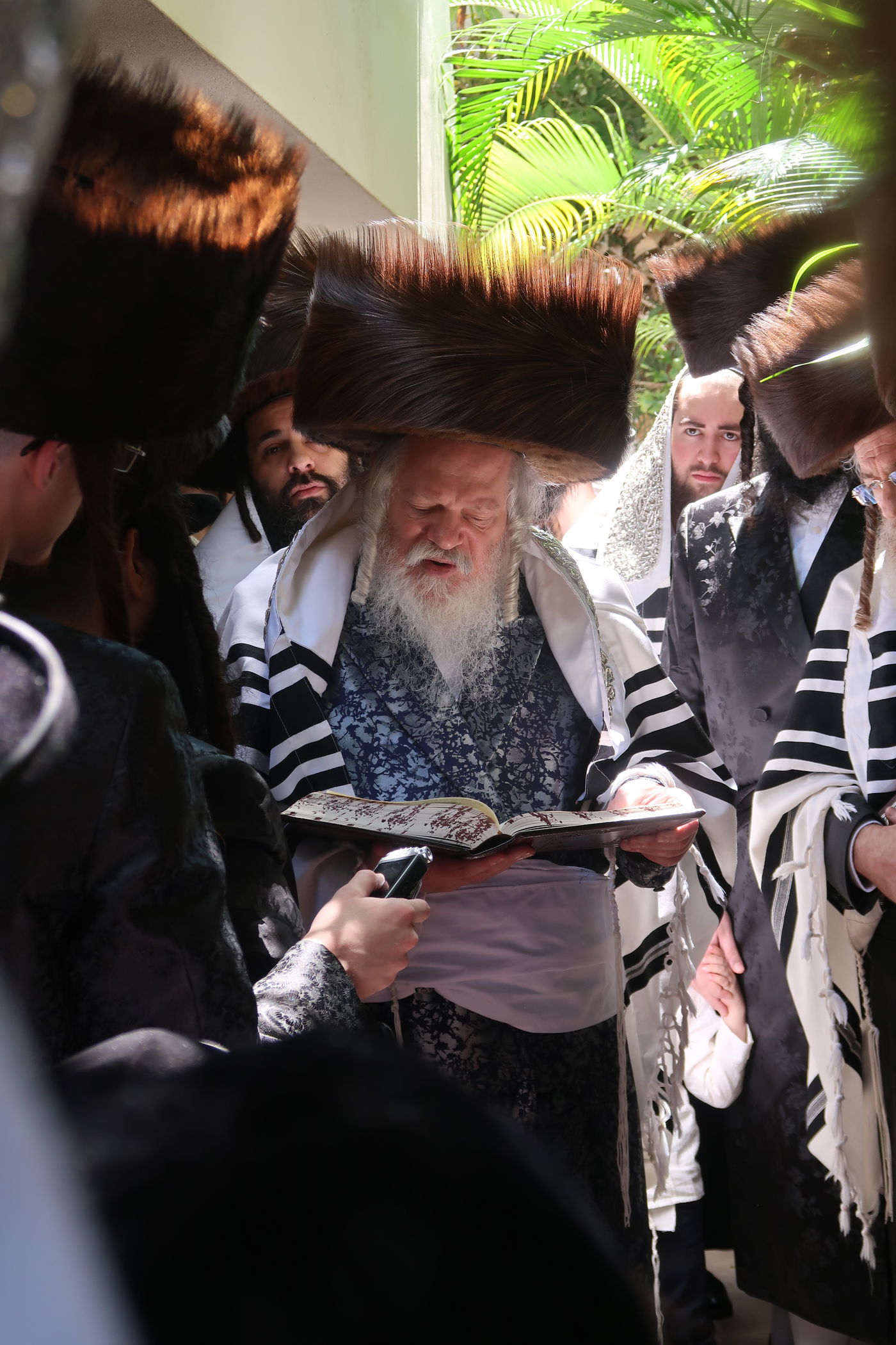 האדמו"ר מפרמישלאן בברכת האילנות