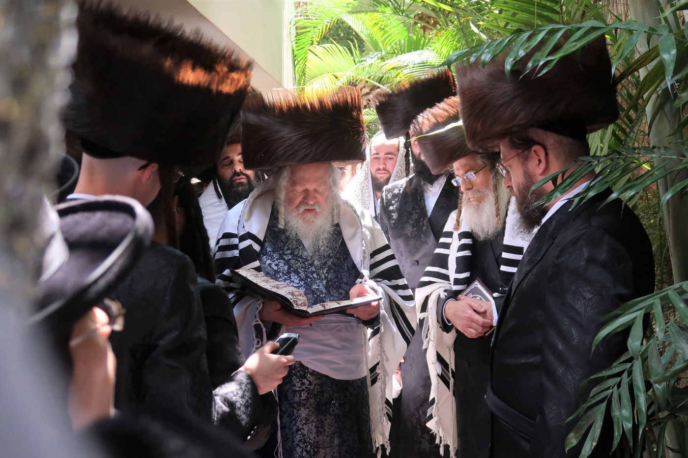 האדמו"ר מפרמישלאן בברכת האילנות