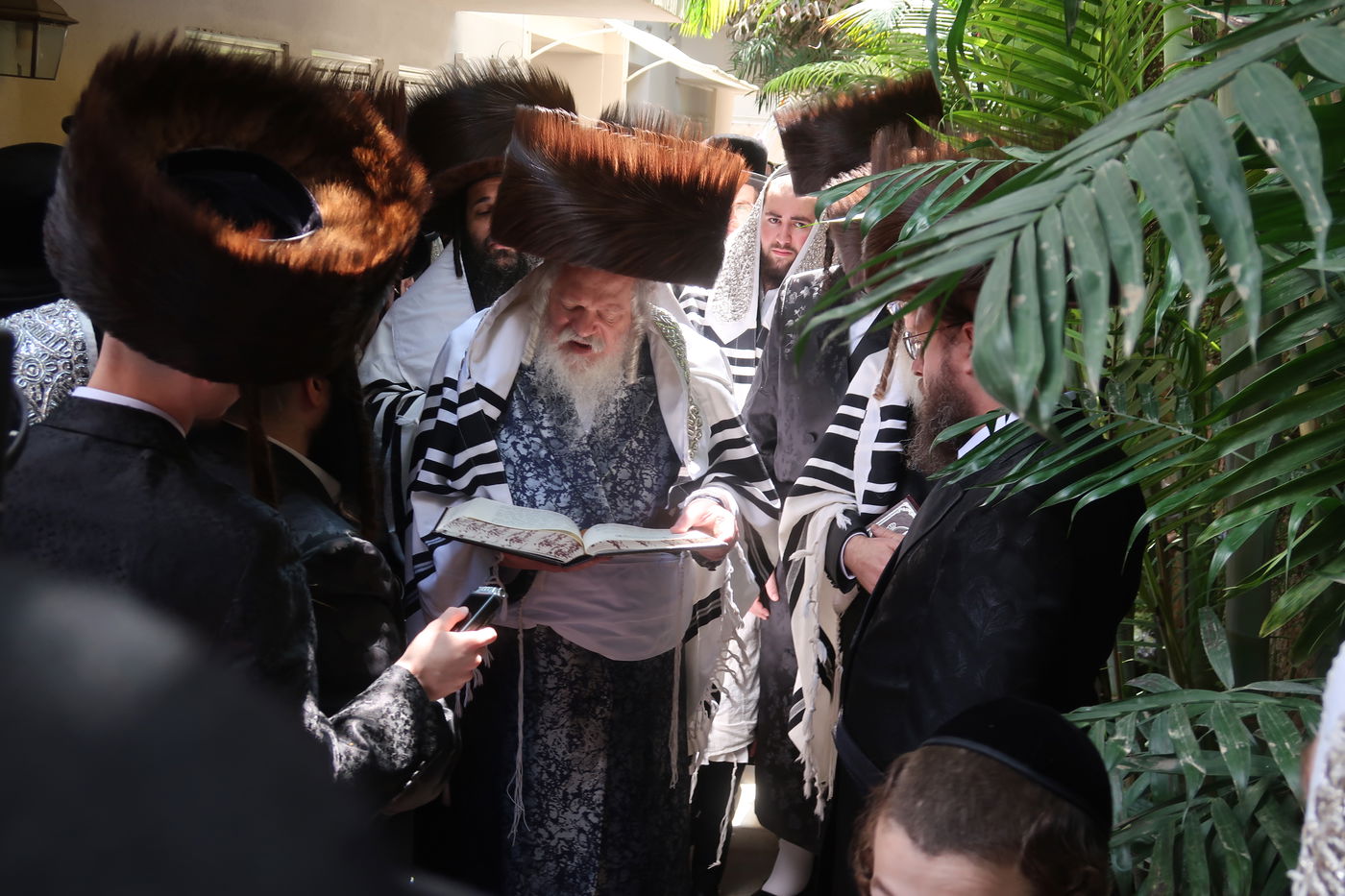 האדמו"ר מפרמישלאן בברכת האילנות