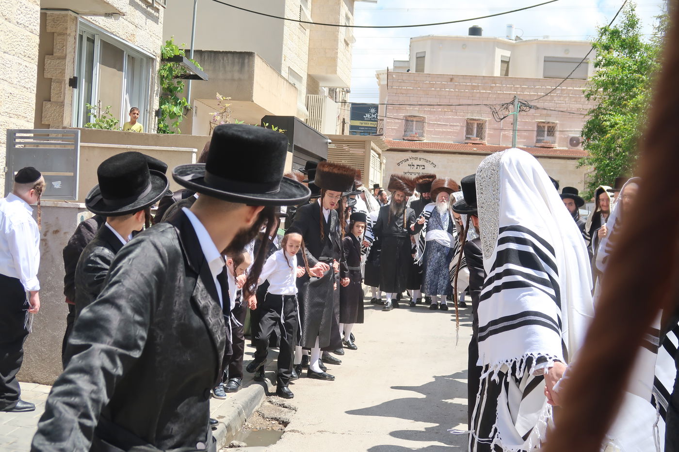 האדמו"ר מפרמישלאן בברכת האילנות