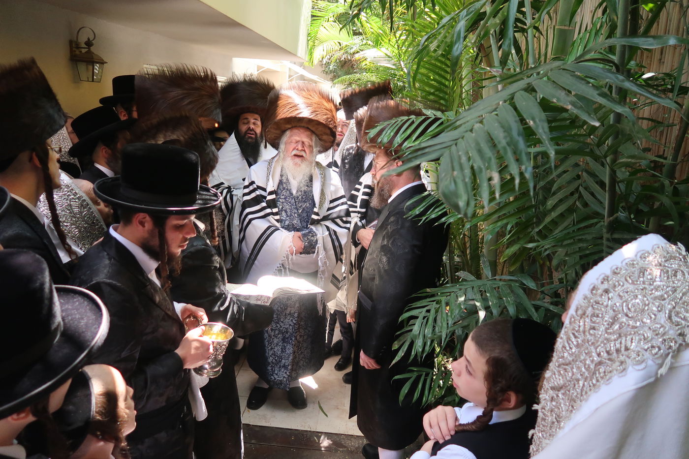 האדמו"ר מפרמישלאן בברכת האילנות