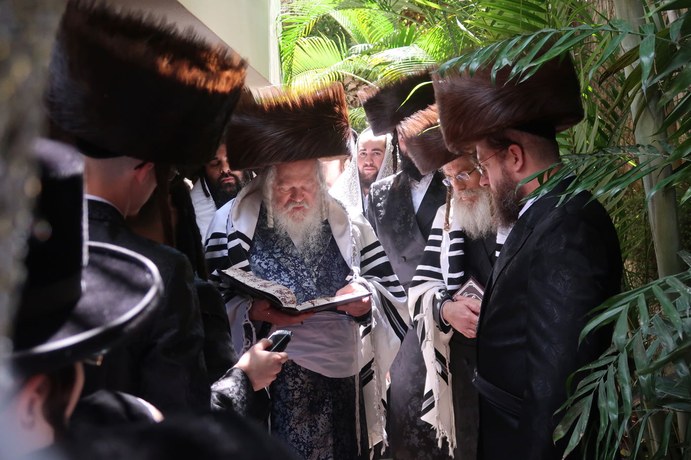 האדמו"ר מפרמישלאן בברכת האילנות