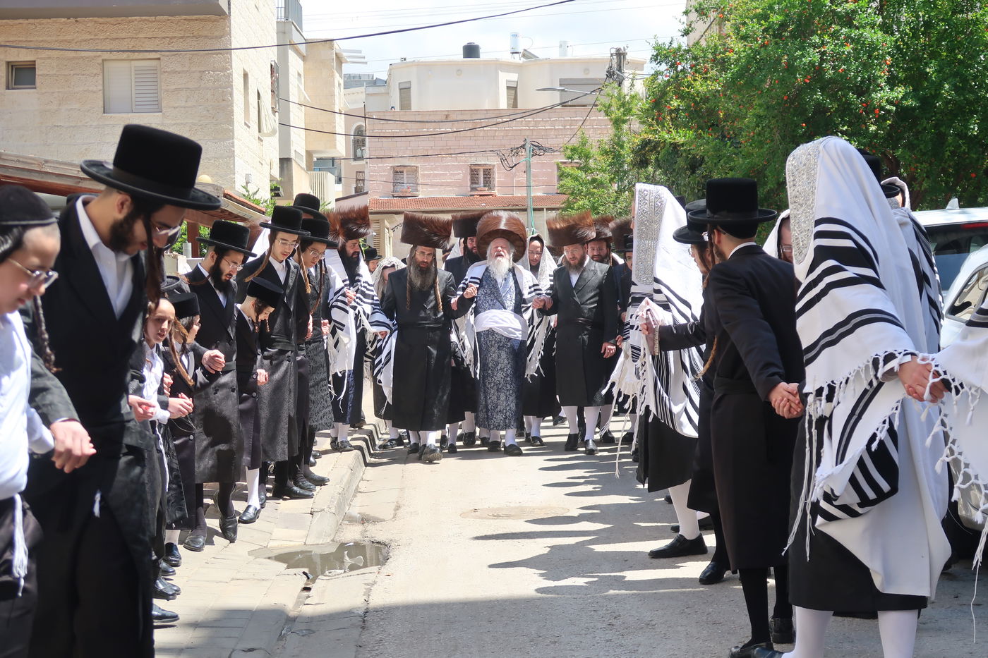האדמו"ר מפרמישלאן בברכת האילנות