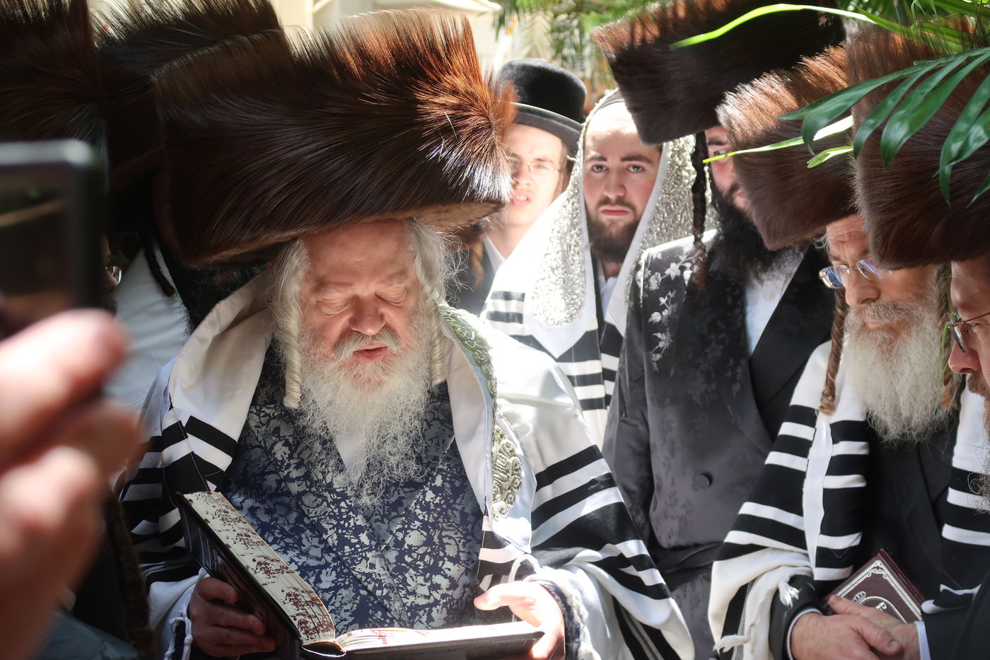 האדמו"ר מפרמישלאן בברכת האילנות