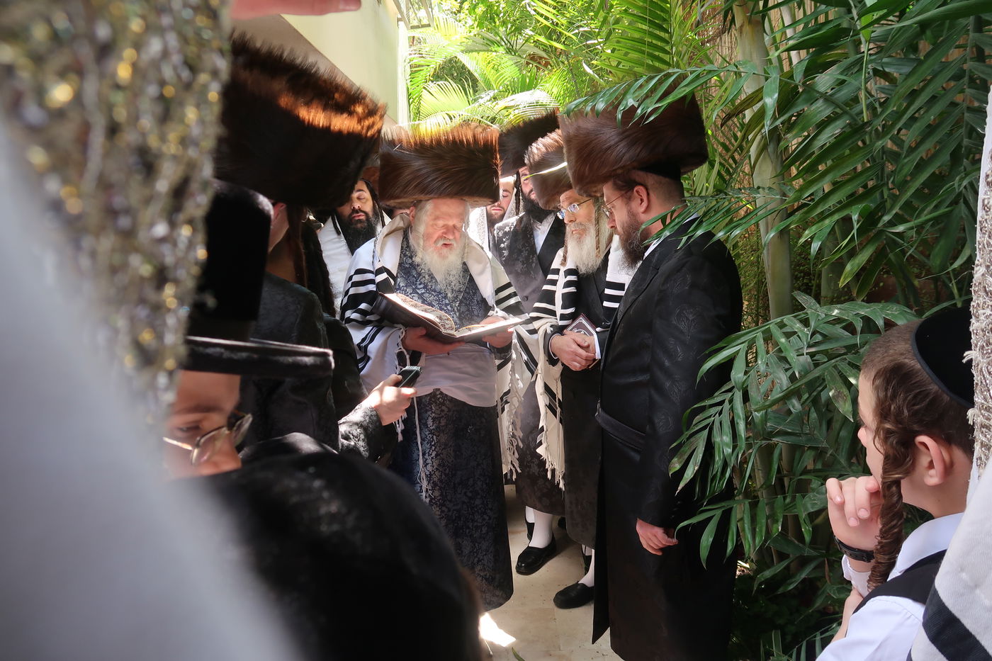 האדמו"ר מפרמישלאן בברכת האילנות