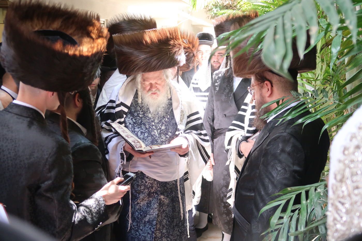 האדמו"ר מפרמישלאן בברכת האילנות