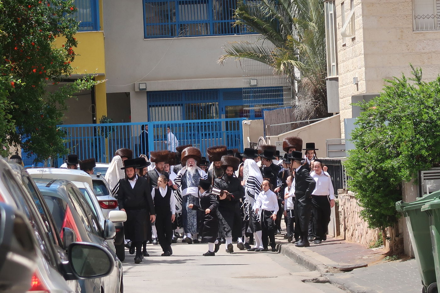 האדמו"ר מפרמישלאן בברכת האילנות