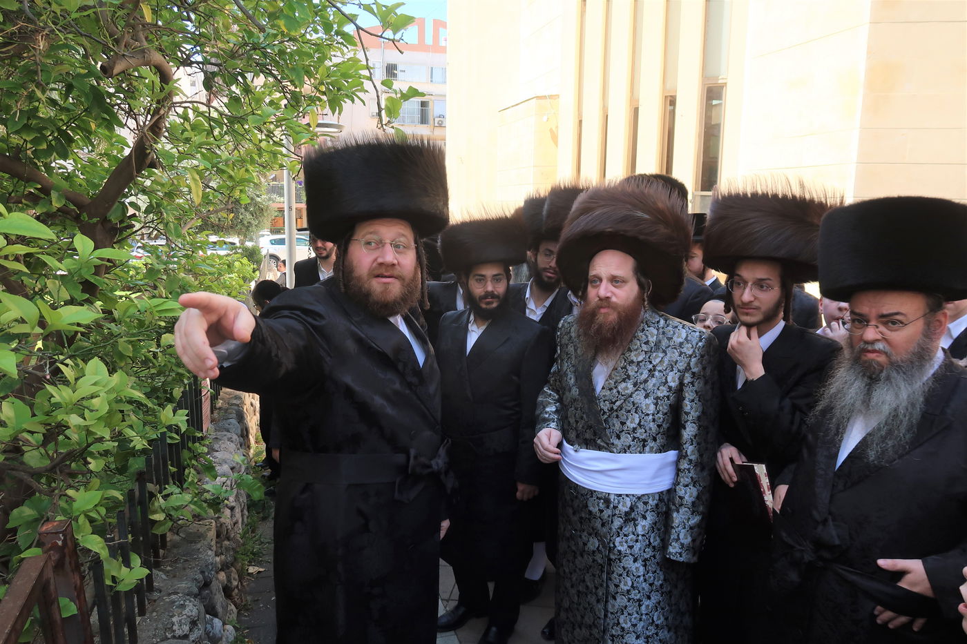 האדמו"ר ממיאלען בברכת האילנות