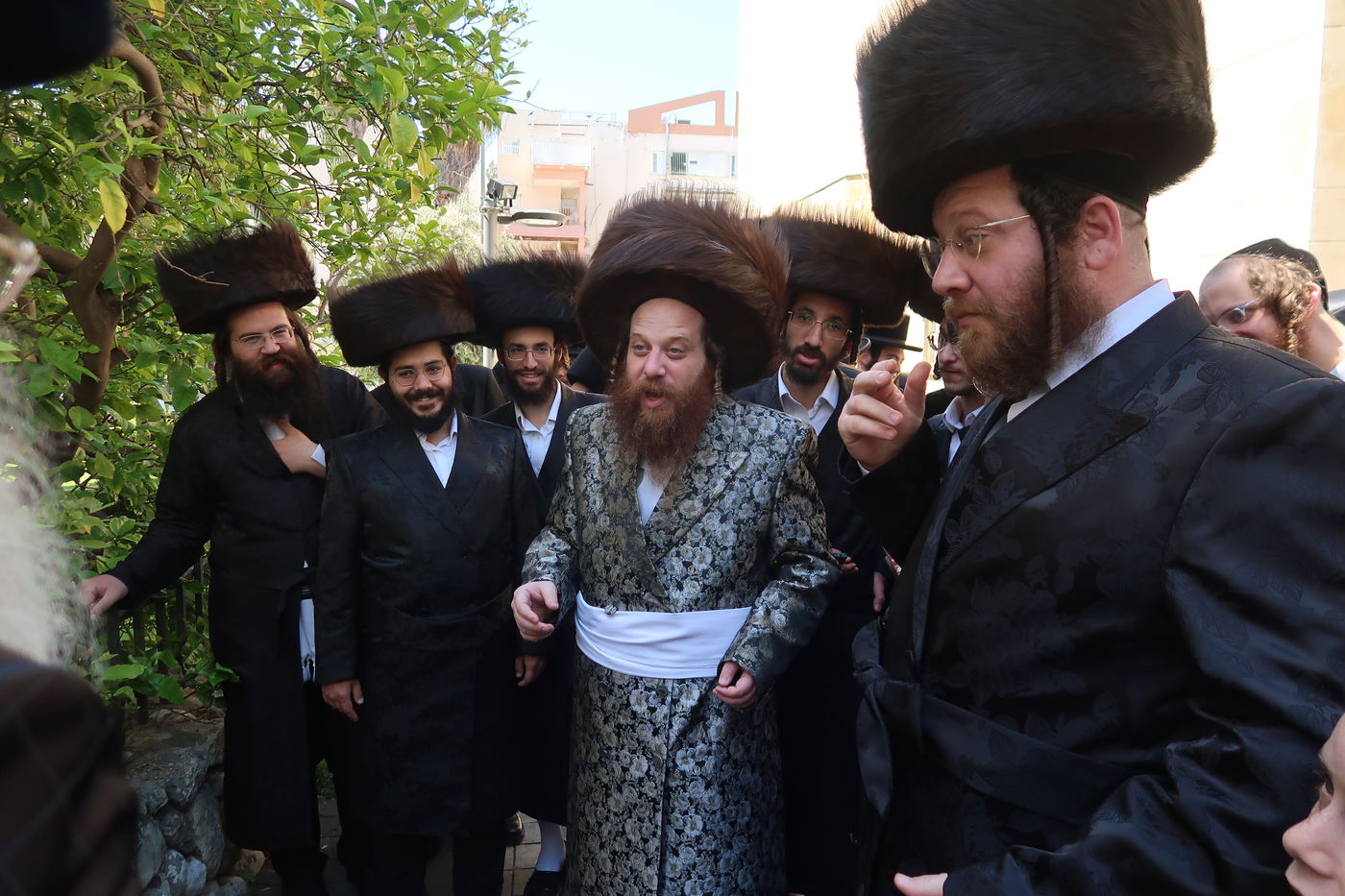 האדמו"ר ממיאלען בברכת האילנות