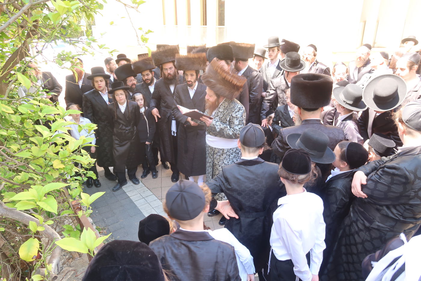 האדמו"ר ממיאלען בברכת האילנות