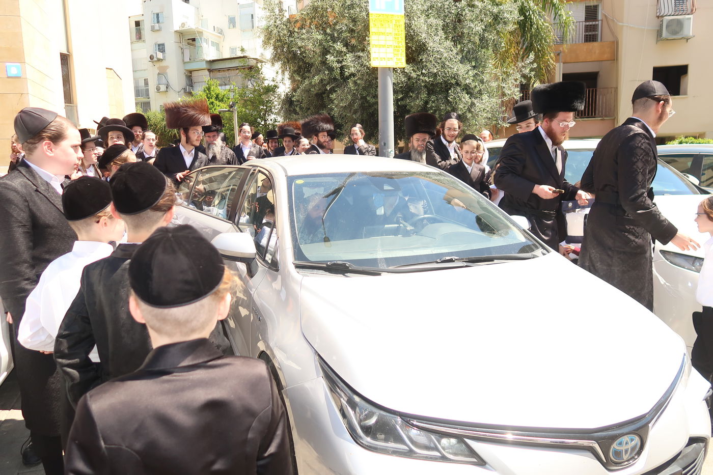 האדמו"ר ממיאלען בברכת האילנות