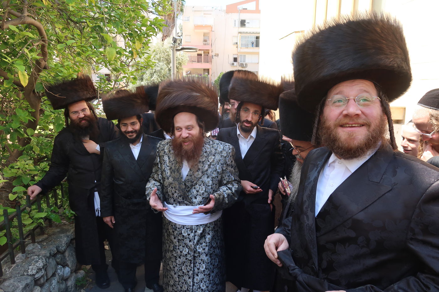 האדמו"ר ממיאלען בברכת האילנות