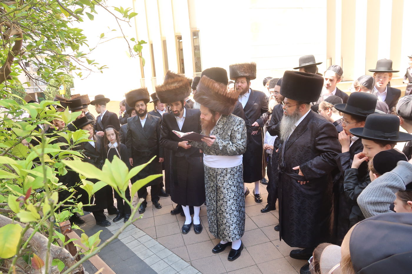 האדמו"ר ממיאלען בברכת האילנות