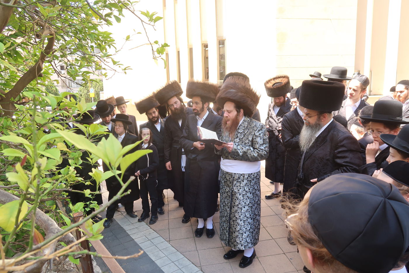 האדמו"ר ממיאלען בברכת האילנות