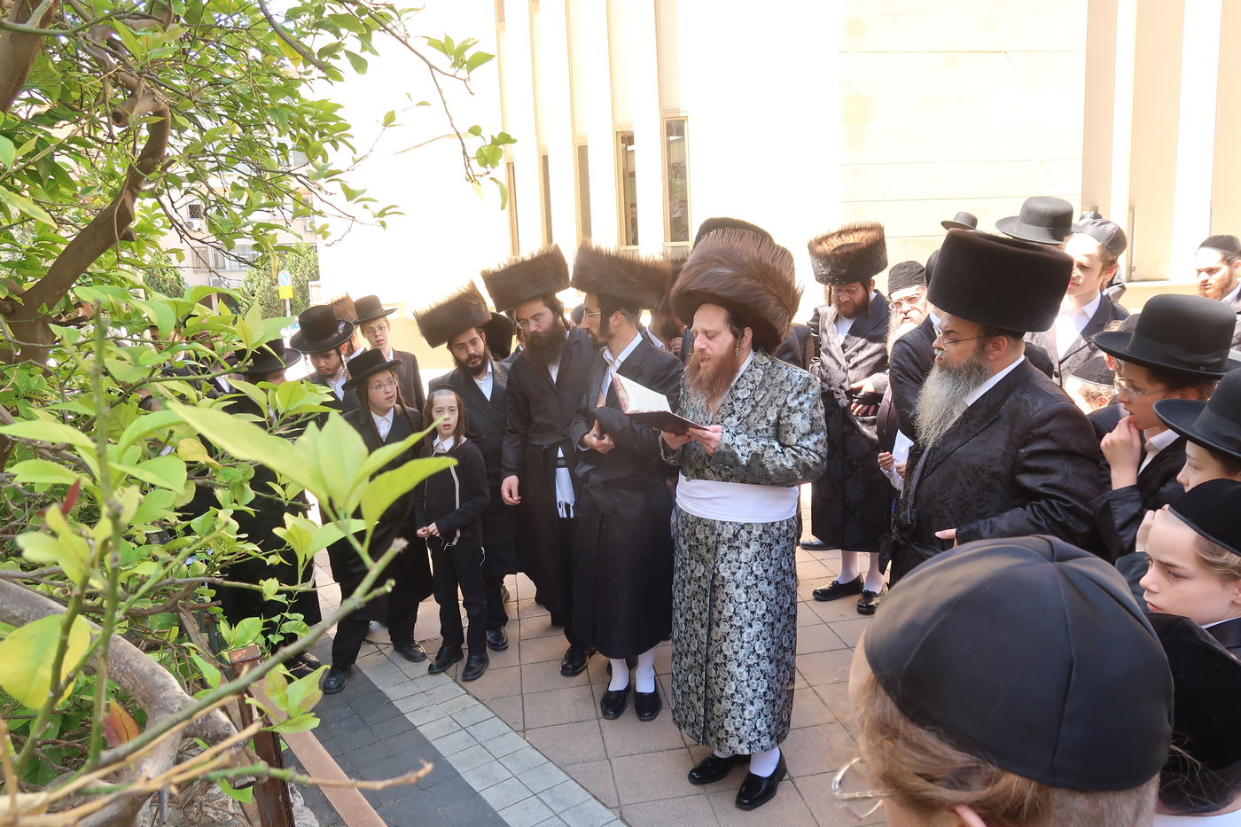 האדמו"ר ממיאלען בברכת האילנות