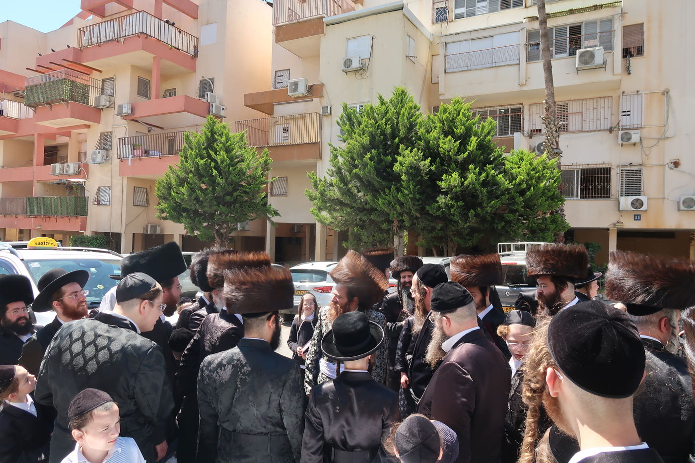 האדמו"ר ממיאלען בברכת האילנות