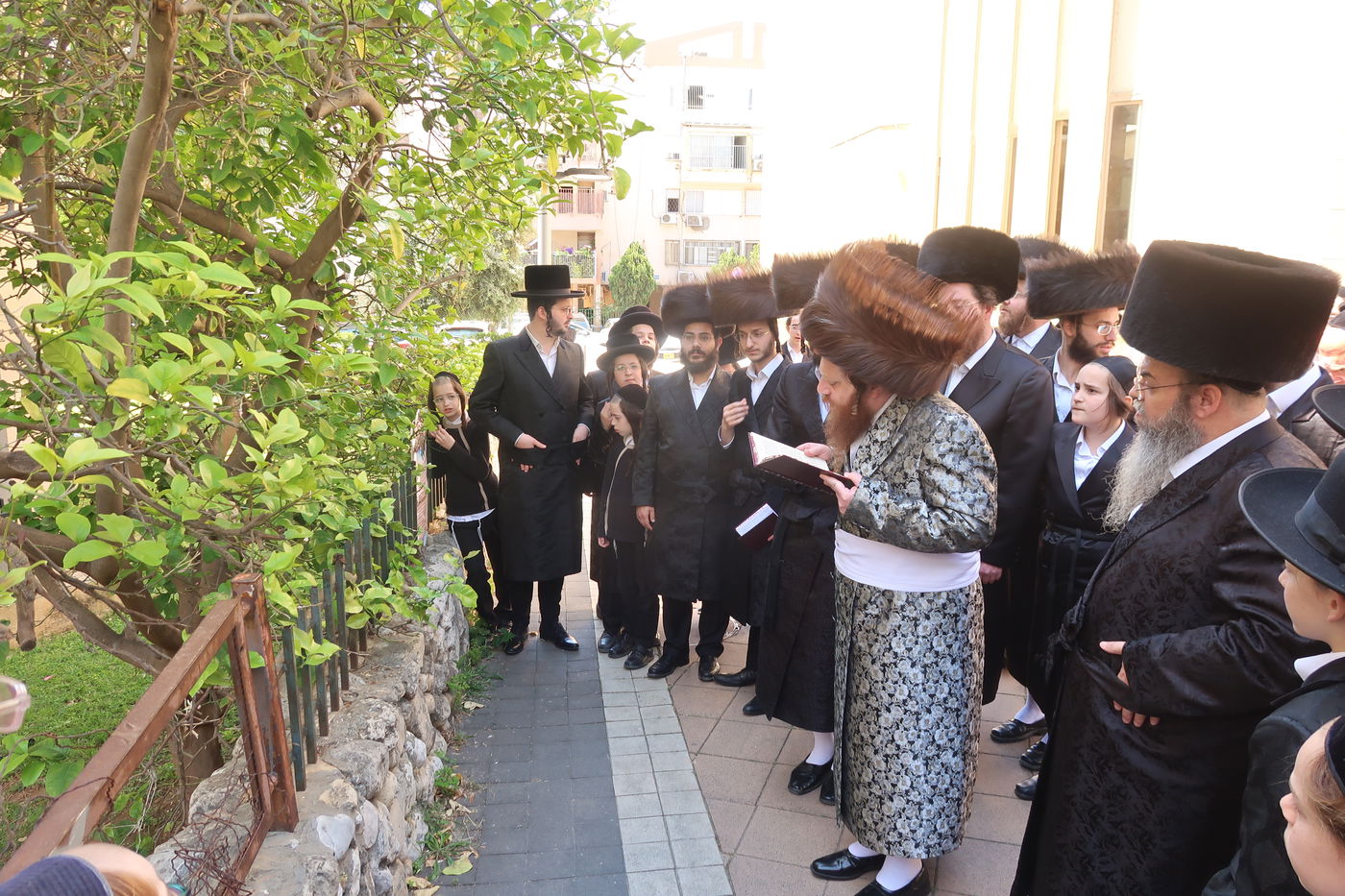 האדמו"ר ממיאלען בברכת האילנות