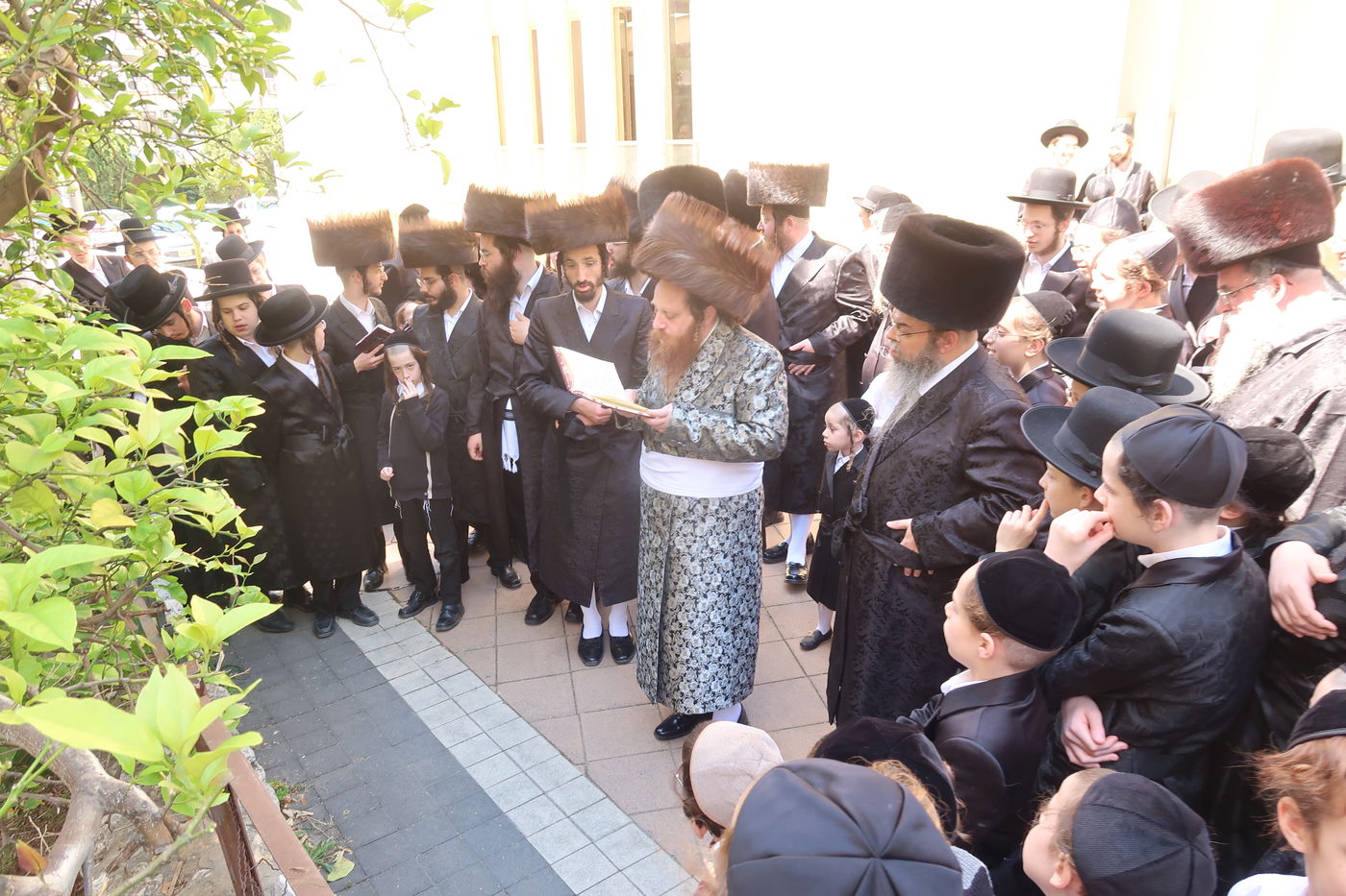 האדמו"ר ממיאלען בברכת האילנות