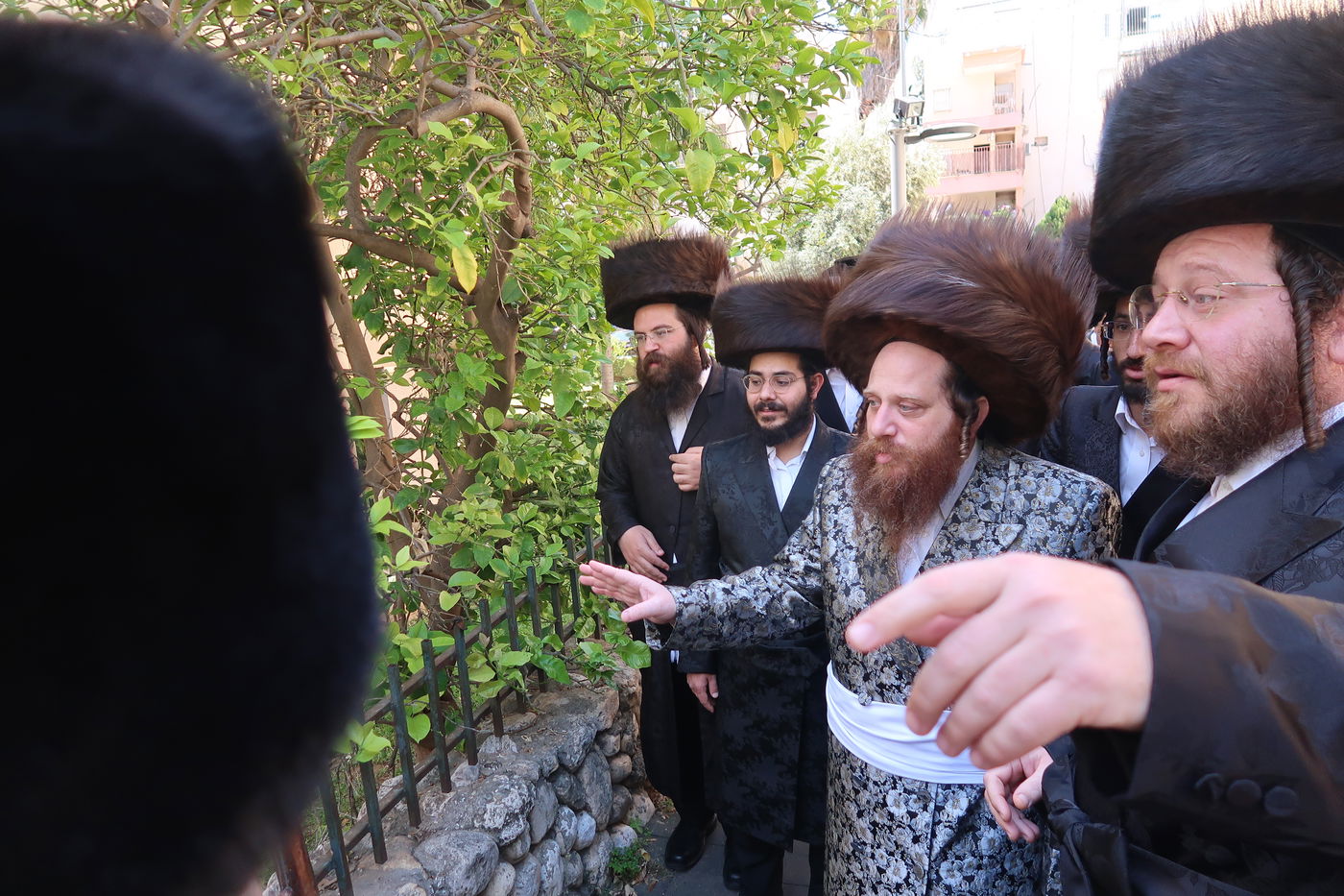 האדמו"ר ממיאלען בברכת האילנות