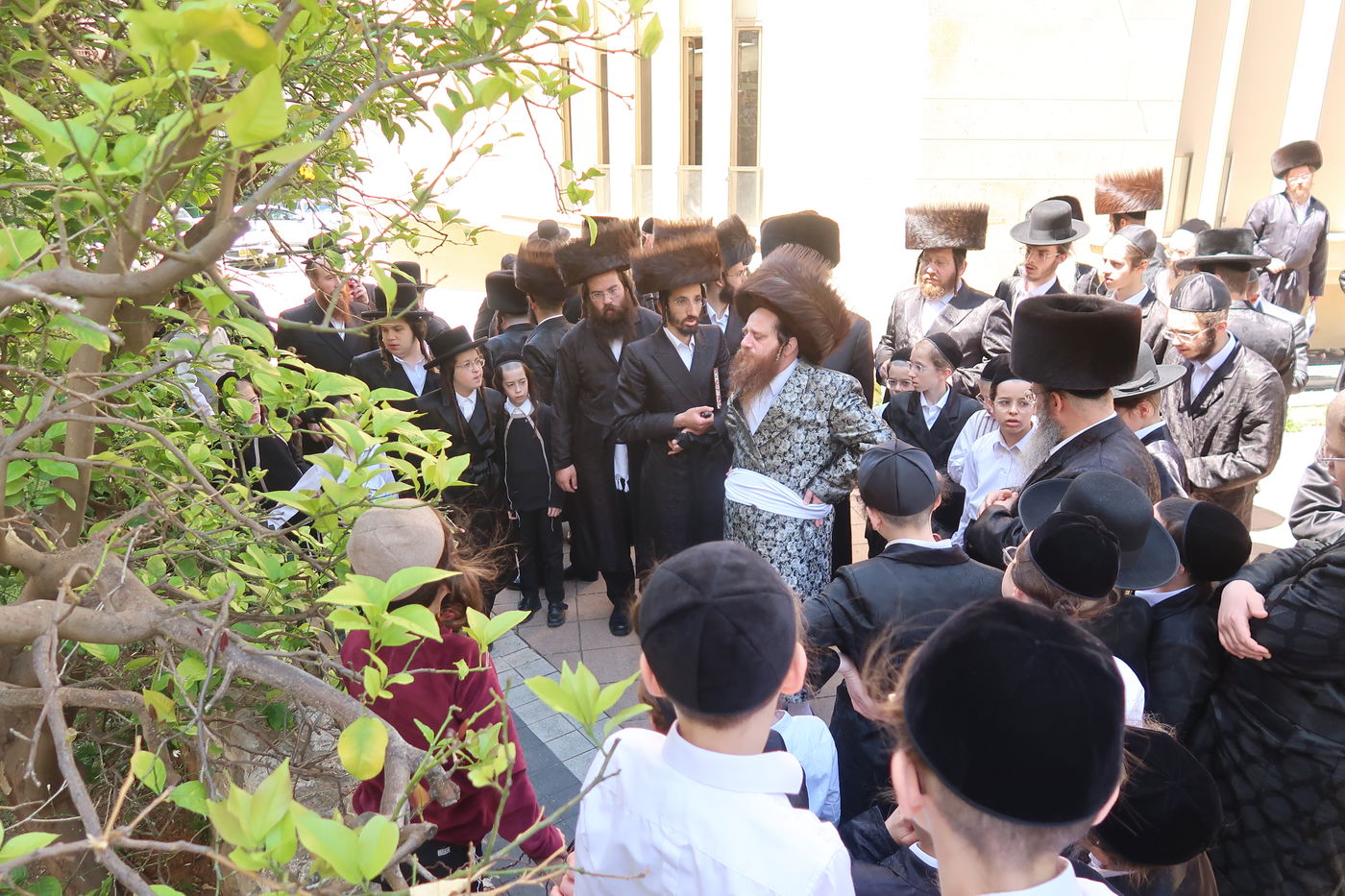 האדמו"ר ממיאלען בברכת האילנות