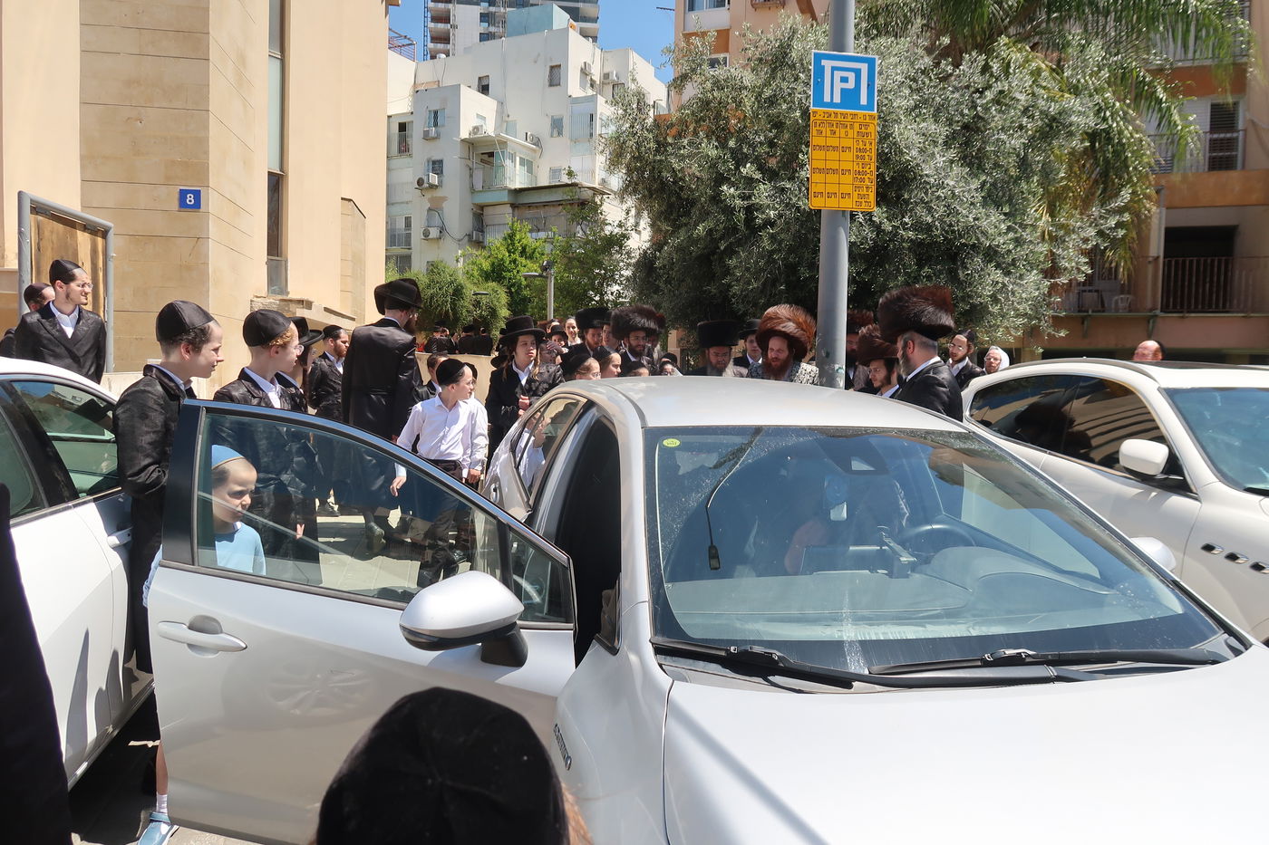 האדמו"ר ממיאלען בברכת האילנות