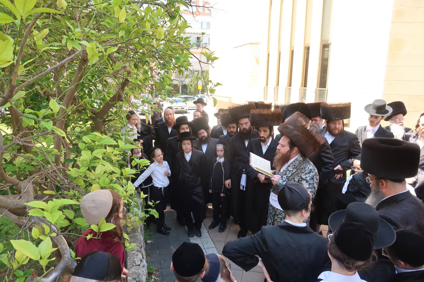 האדמו"ר ממיאלען בברכת האילנות