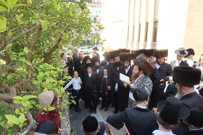 האדמו"ר ממיאלען בברכת האילנות