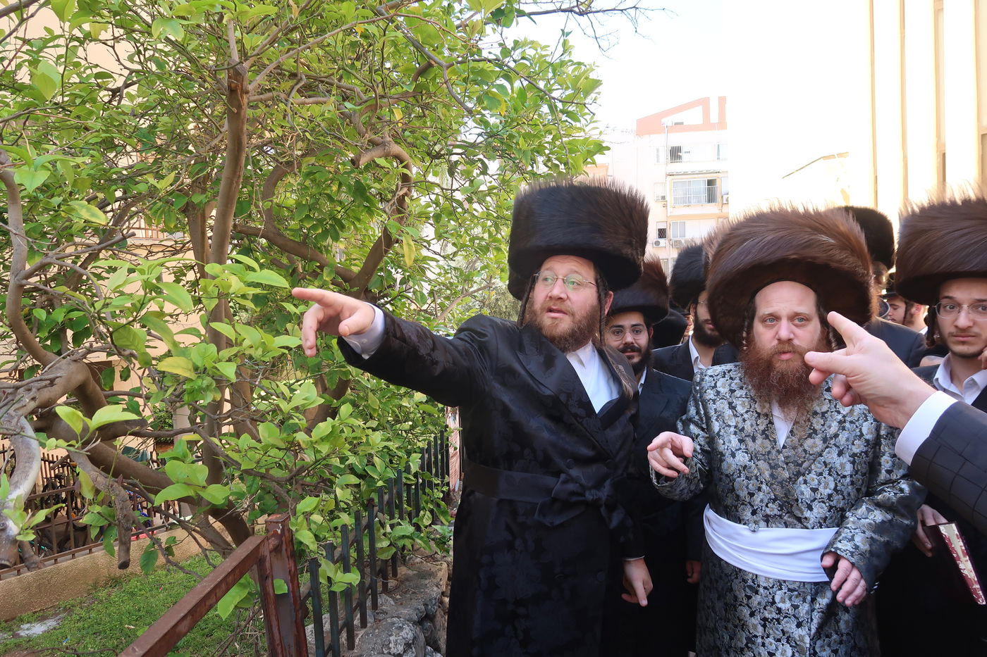 האדמו"ר ממיאלען בברכת האילנות