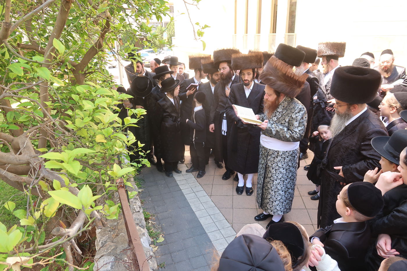 האדמו"ר ממיאלען בברכת האילנות