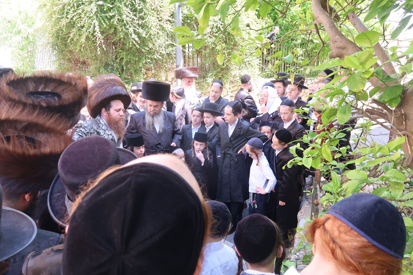 האדמו"ר ממיאלען בברכת האילנות