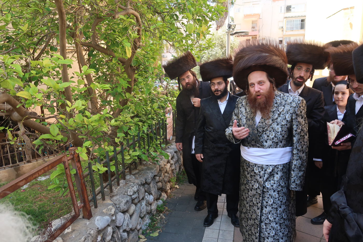 האדמו"ר ממיאלען בברכת האילנות