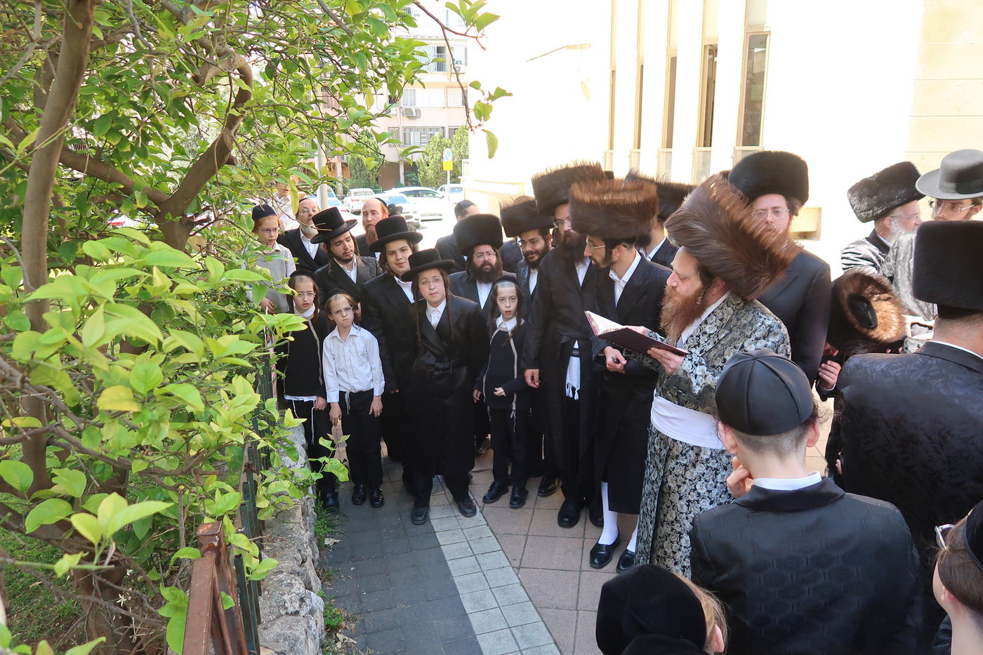 האדמו"ר ממיאלען בברכת האילנות