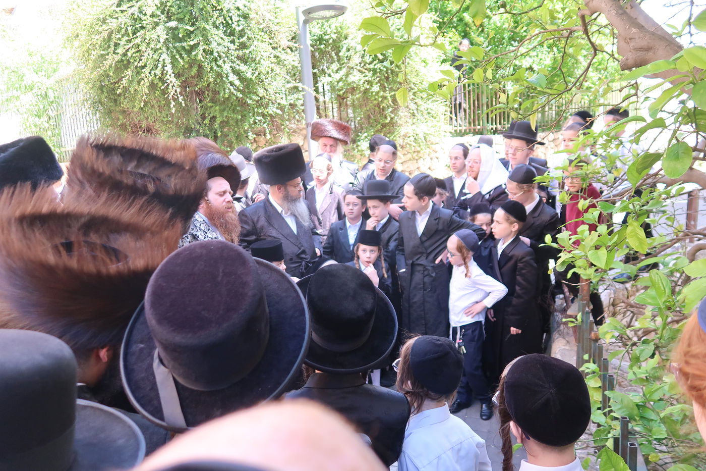 האדמו"ר ממיאלען בברכת האילנות