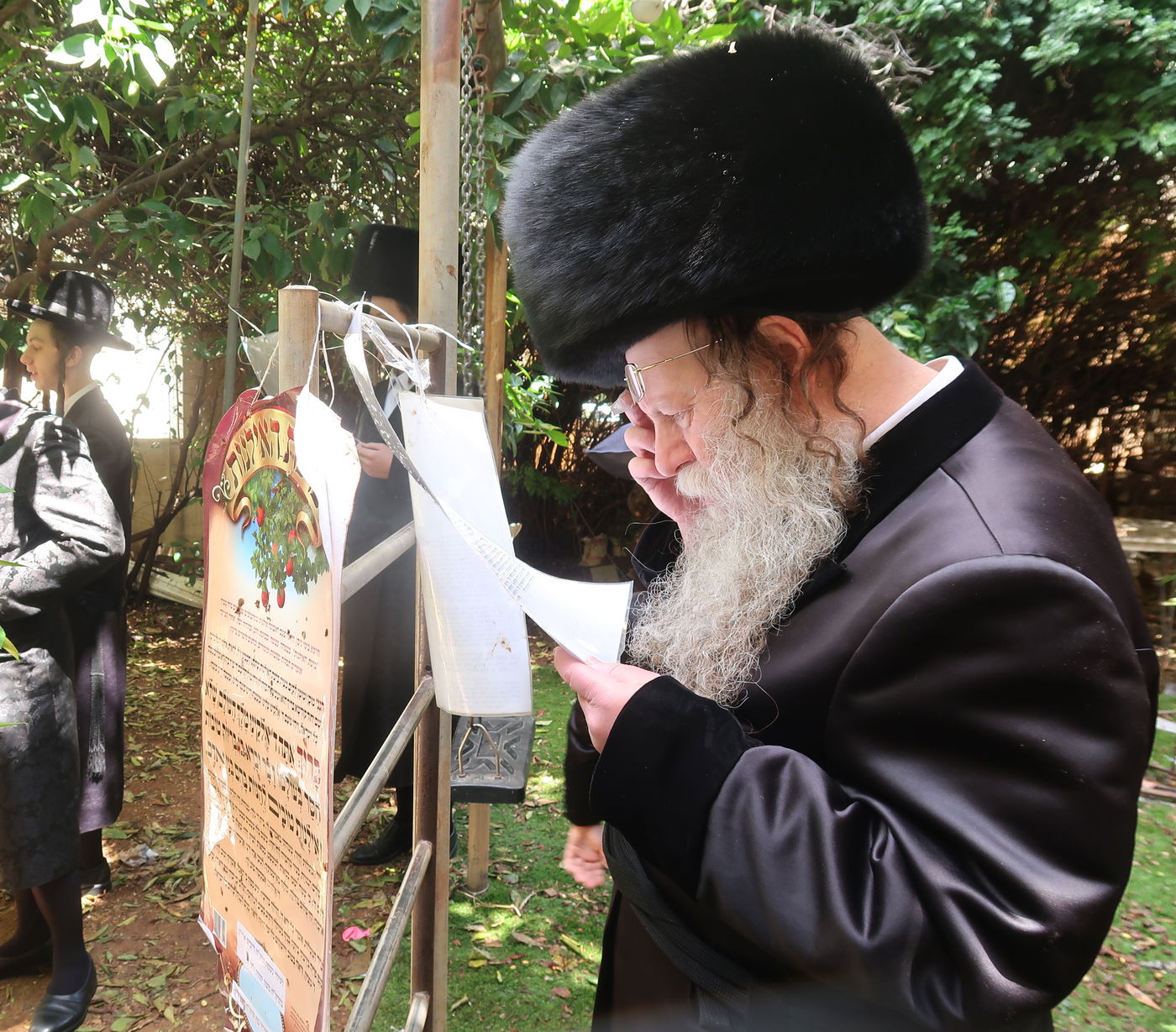 האדמו"ר מקוזמיר בברכת האילנות