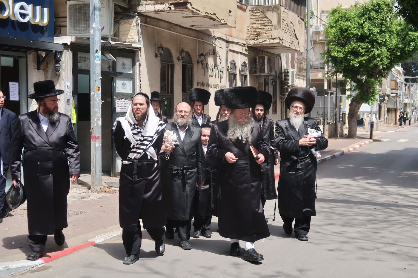 האדמו"ר מקוזמיר בברכת האילנות