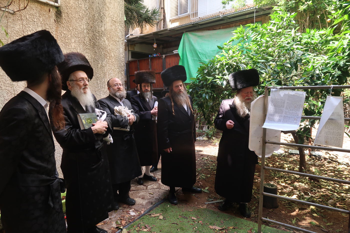 האדמו"ר מקוזמיר בברכת האילנות